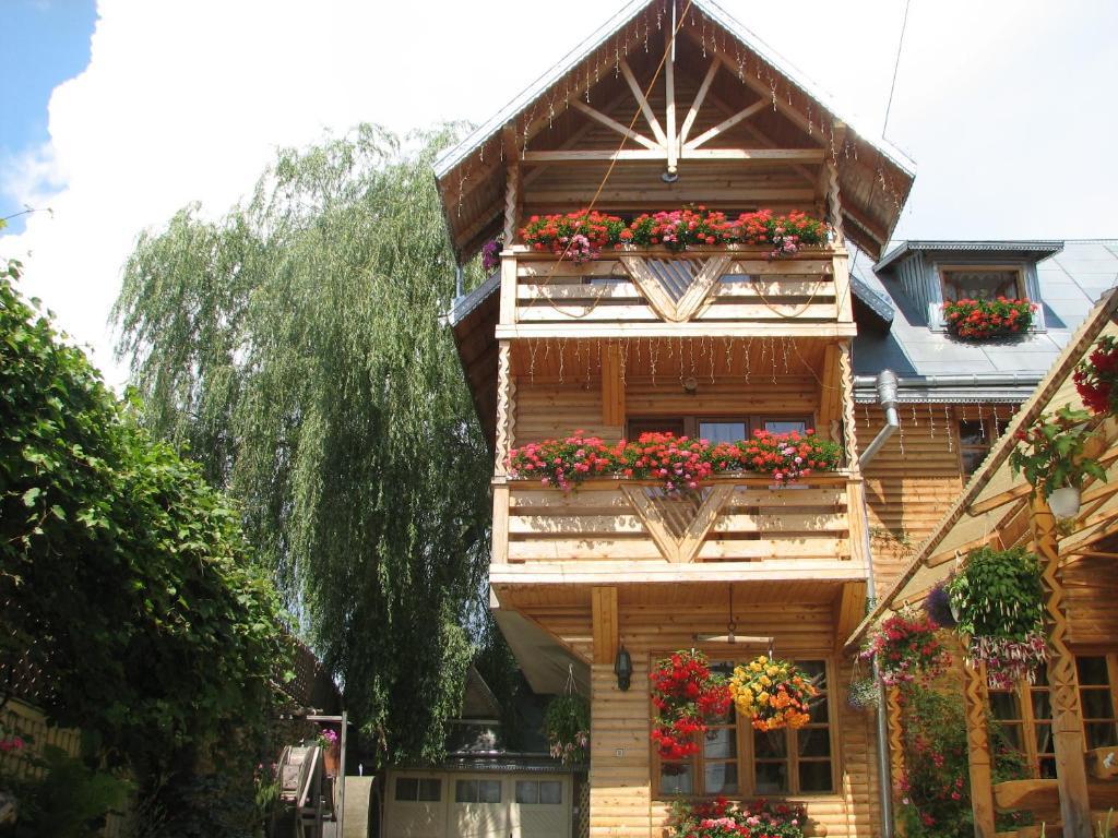 Pension Crizantema Vatra Moldoviţei 外观 照片